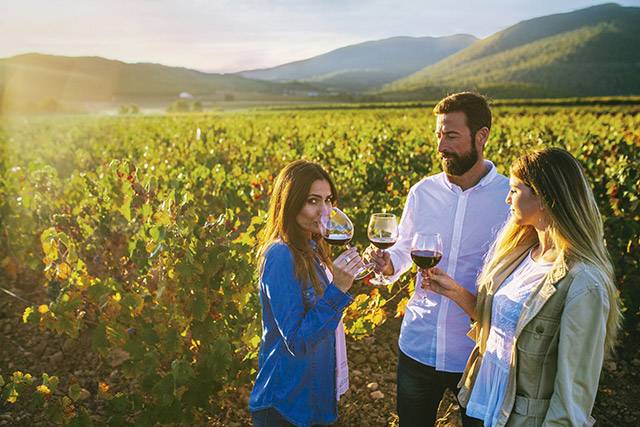 La Costa Cálida et la région de Murcie, découverte des routes des vins à l’intérieur des terres