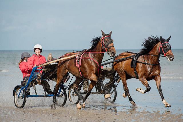 La Normandie : un territoire où vivre de multiples expériences