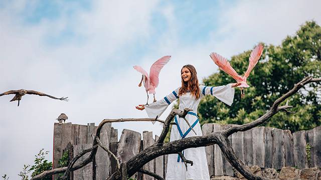 Enjoy Puy du Fou, even without speaking French!