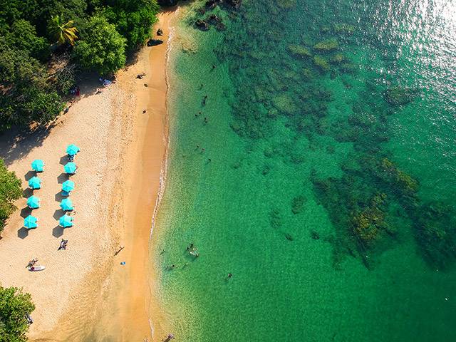 Explorez le littoral et les sublimes plages de Tobago