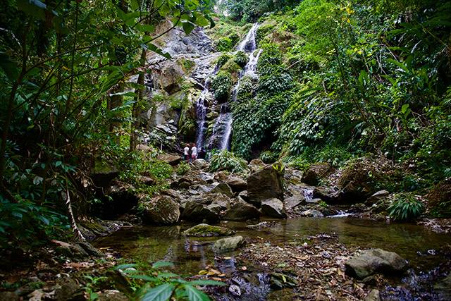 Tobago, une nature à couper le souffle, une terre d'aventures