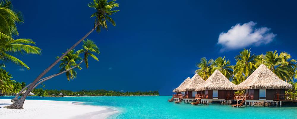 Où et quand partir ?