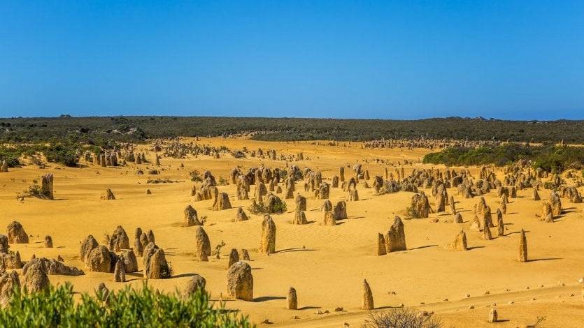 lepir - Shutterstock.com