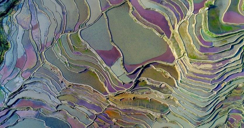 M. Scheja - Shutterstock.com