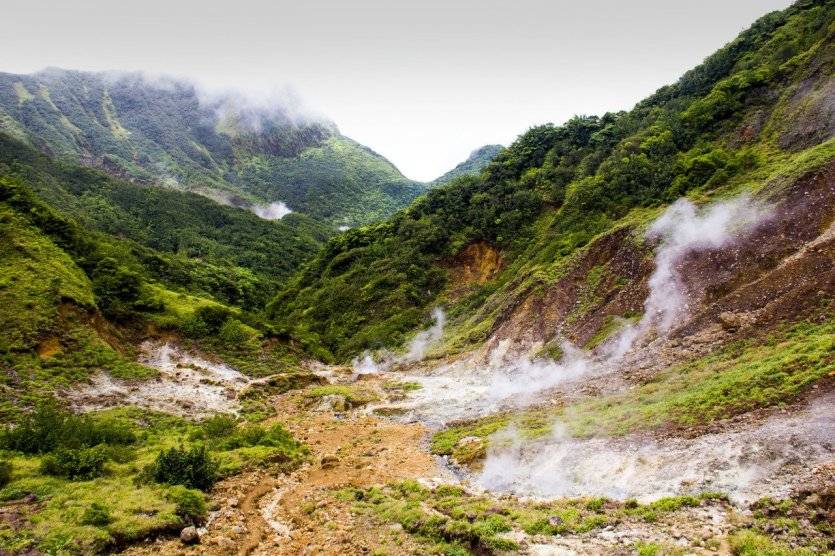 Emily Eriksson - Shutterstock.com