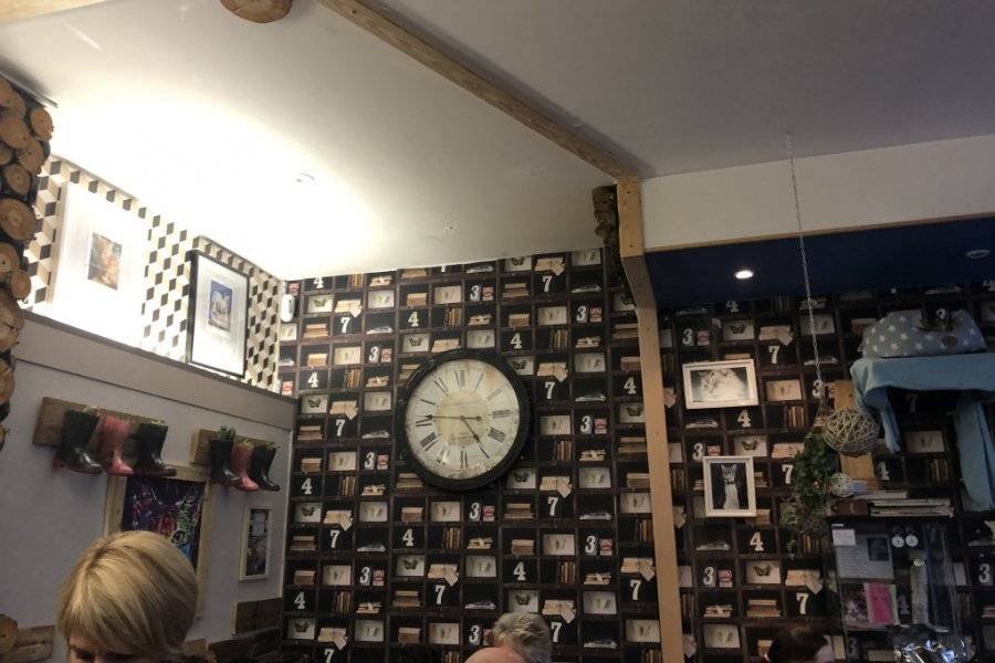 Chat Lounge Tearoom Clermont Ferrand