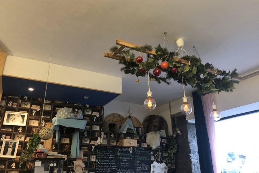 Chat Lounge Tearoom Clermont Ferrand