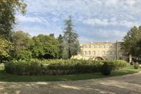 Chateau D Estoublon Huile D Olive Fontvieille Chateau D Estoublon Huile D Olive Fontvieille