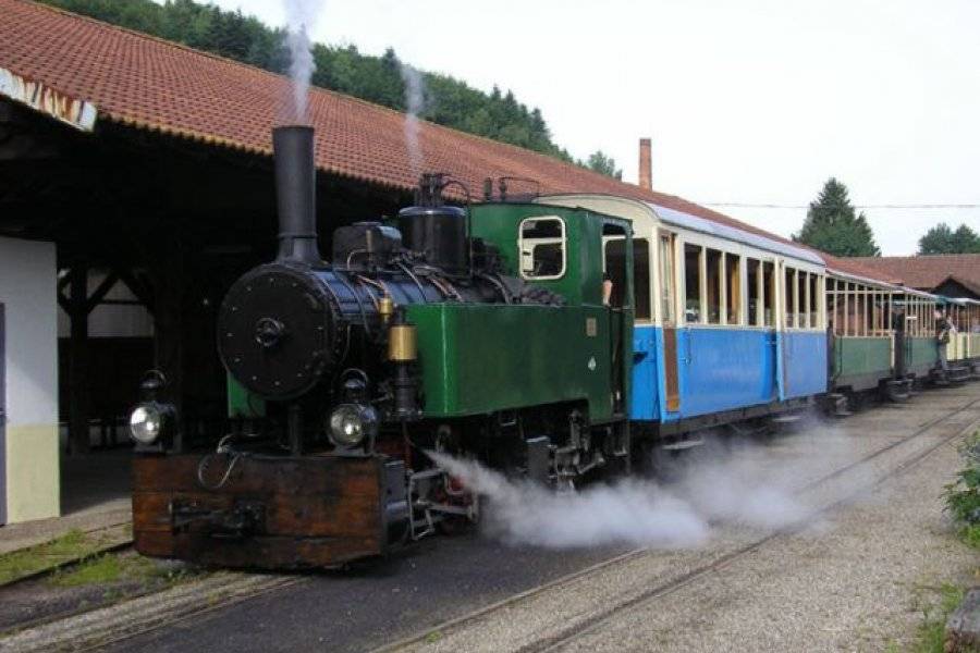 chemin de fer forestier bus petit train abreschviller 57560