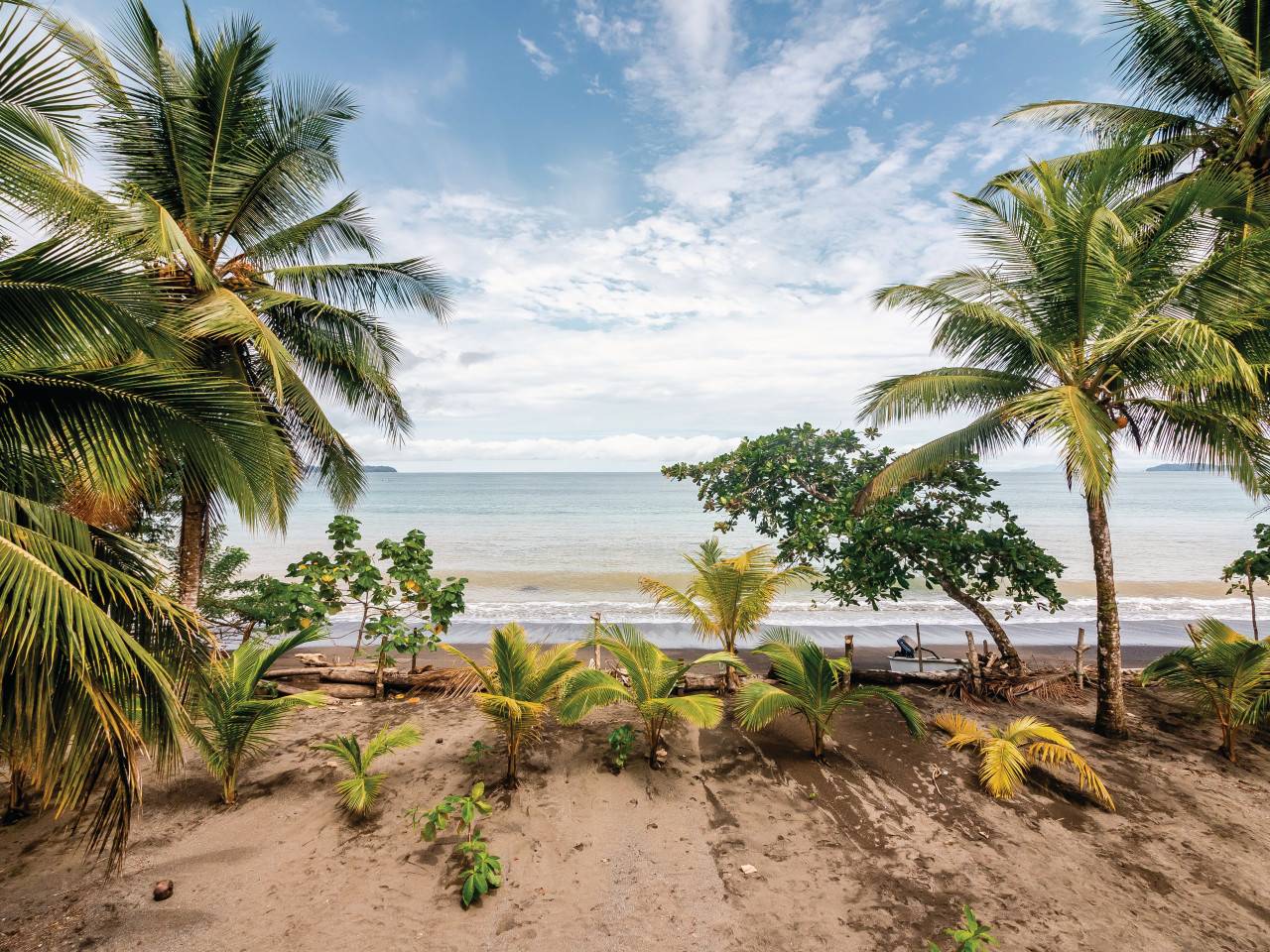 Bahía Solano - Guide de voyage & touristique à BAHÍA SOLANO - Colombie -  Petit Futé