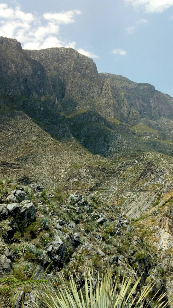 Reserva De La Biósfera De Mapimí - Guide de voyage & touristique à la ...