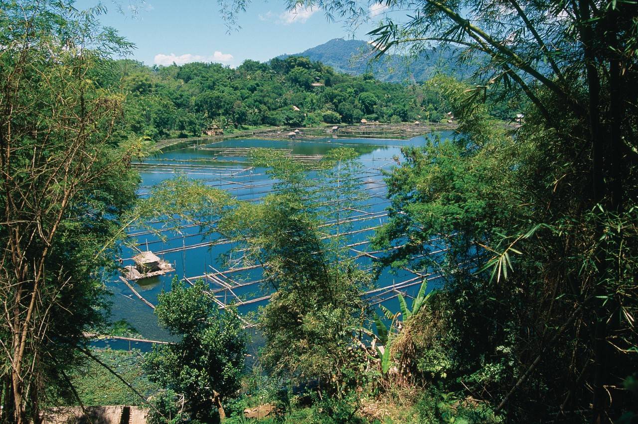 Lake Sebu - Guide de voyage & touristique à LAKE SEBU - Philippines ...