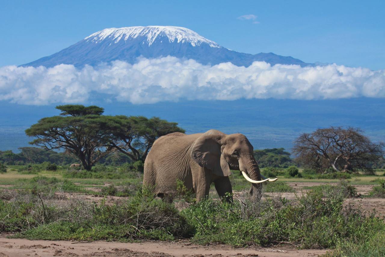 Tanzanie : Les solitaires de la rivière de sable