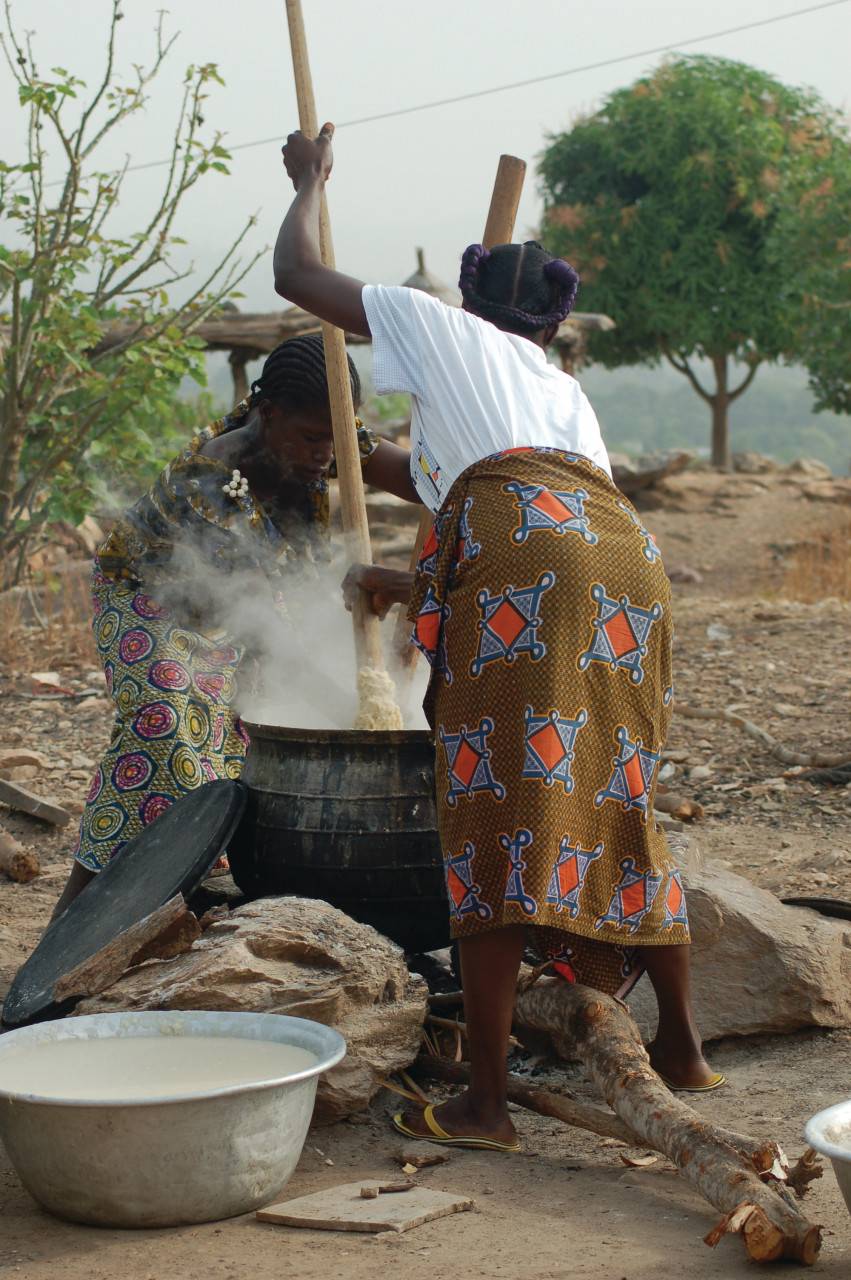 Natitingou - Guide de voyage & touristique à NATITINGOU - Bénin - Petit Futé