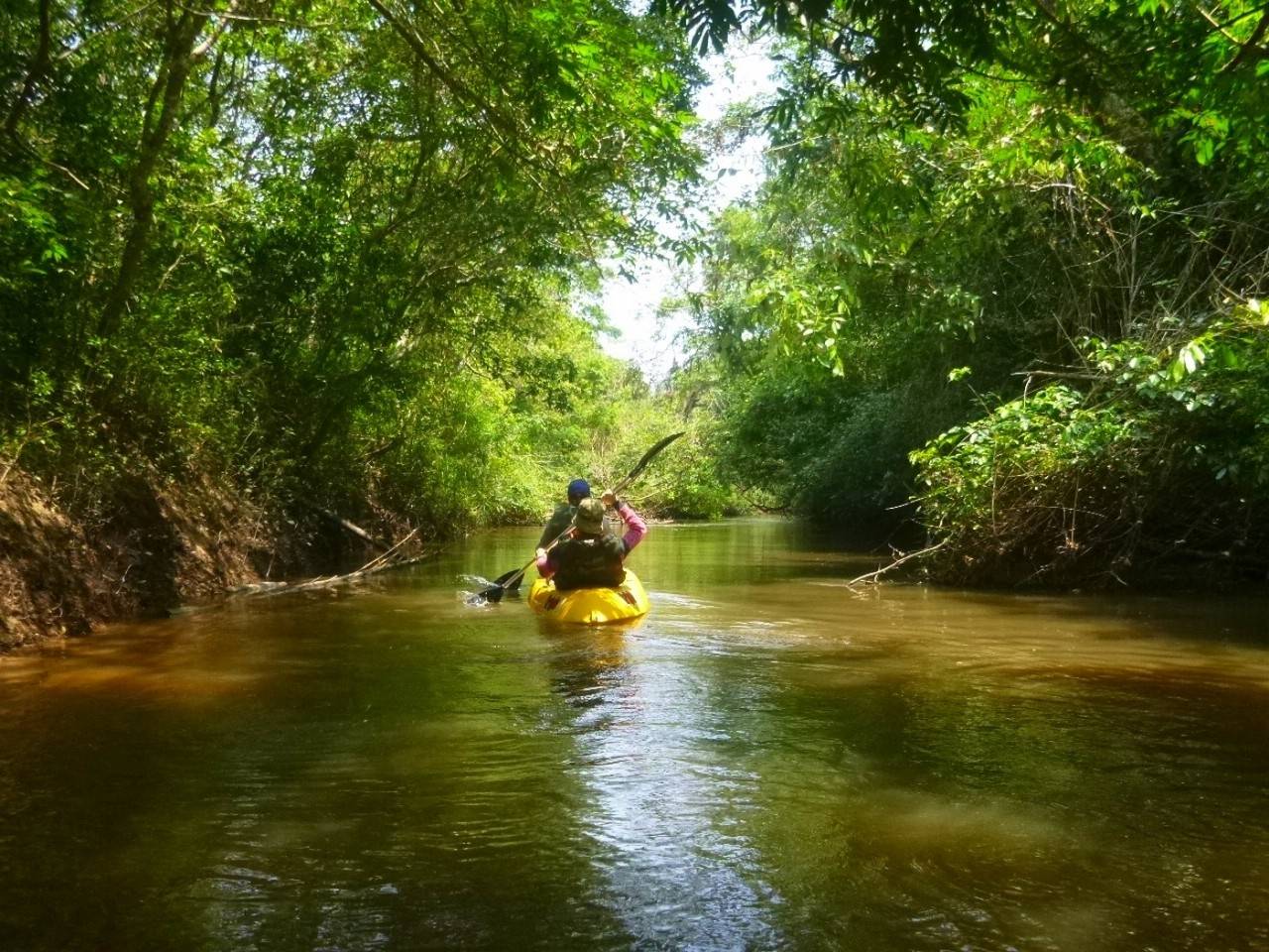 Reserva Natural Del Bosque Mbaracayú - Guide de voyage & touristique à ...
