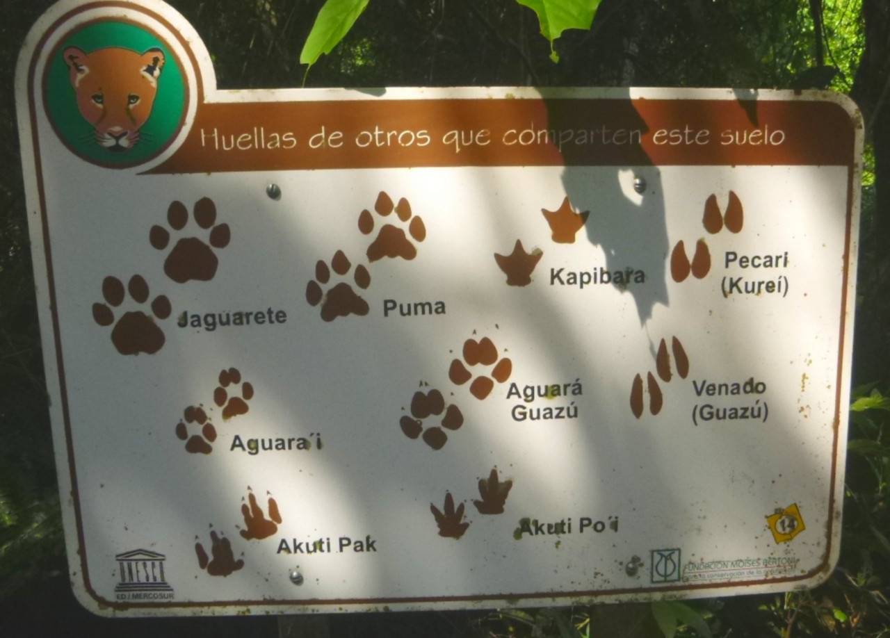 Reserva Natural Del Bosque Mbaracayú - Guide de voyage & touristique à ...