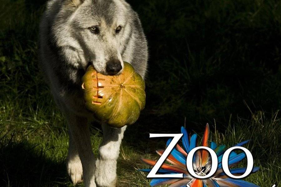 zoo - ©ZOO LA BOISSIERE DU DORE