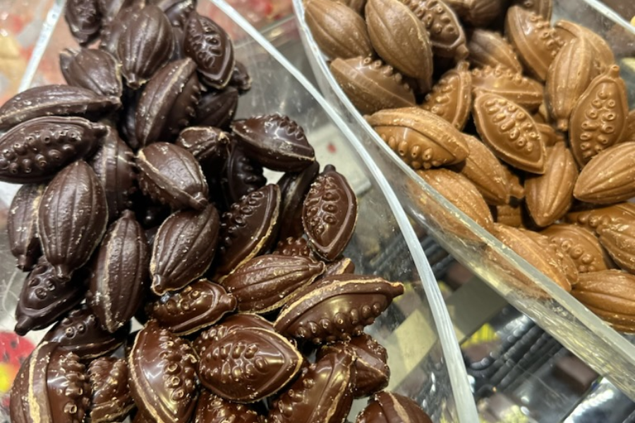 bruno cacao NANTES - ©bruno cacao NANTES