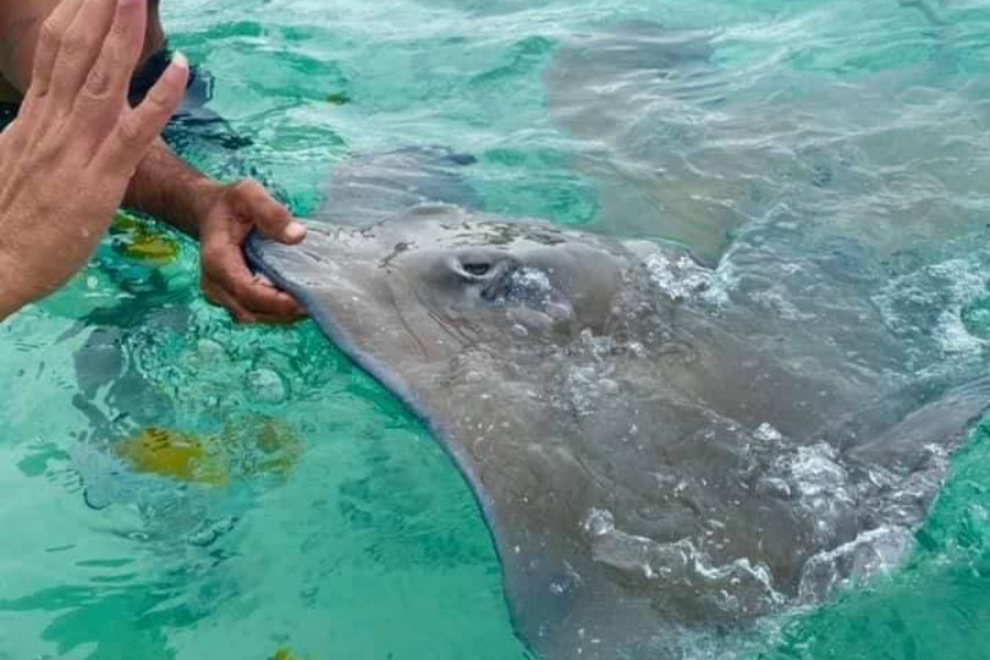  - ©BORA BORA LAGOON TRIP'S & LAGOONARIUM