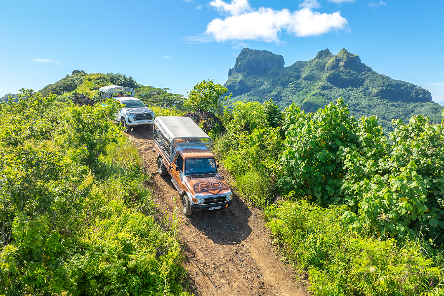 Bora Bora Tupuna Safari - ©Bora Bora Tupuna Safari