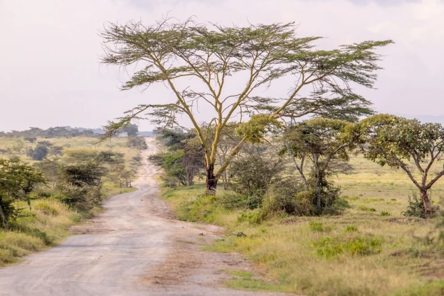  - ©MBWEHA SAFARI CAMP