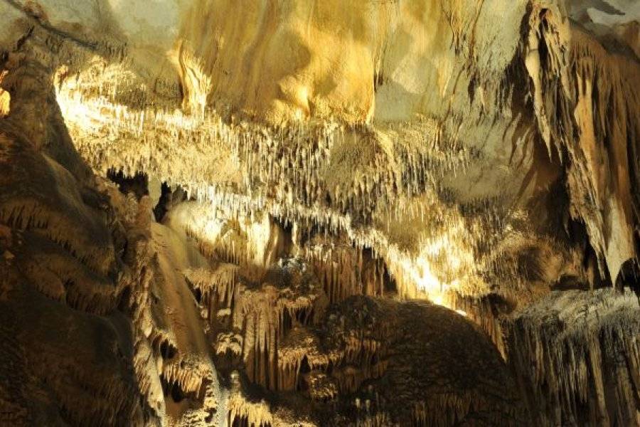 GROTTE DE SAINT-MARCEL-D'ARDÈCHE Nature Saint-Marcel-D'Ardèche photo n° 74417