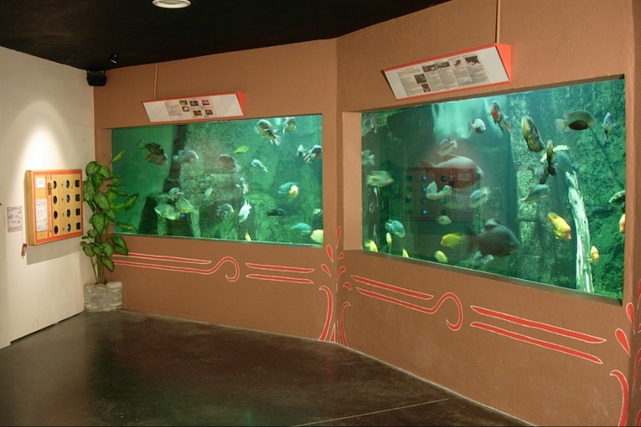 Aquarium exposition - ©AQUARIUM DES TROPIQUES