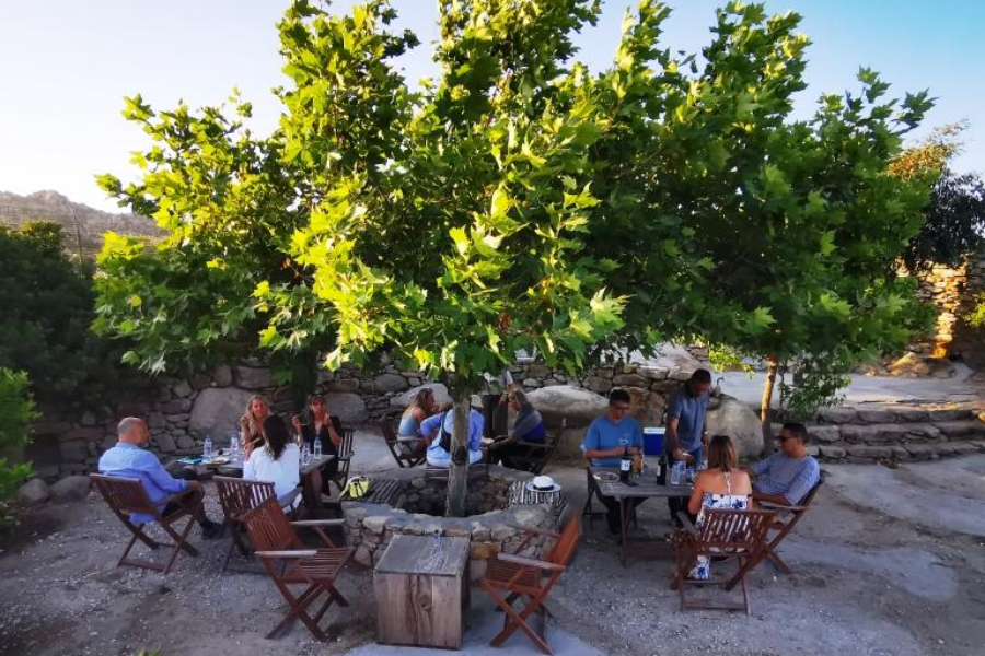 Wine tasting