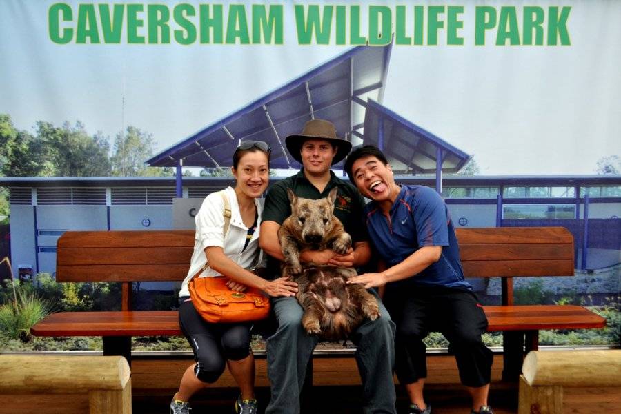 CAVERSHAM WILDLIFE PARK Parc animalier – Ferme Perth photo n° 501063 - ©CAVERSHAM WILDLIFE PARK