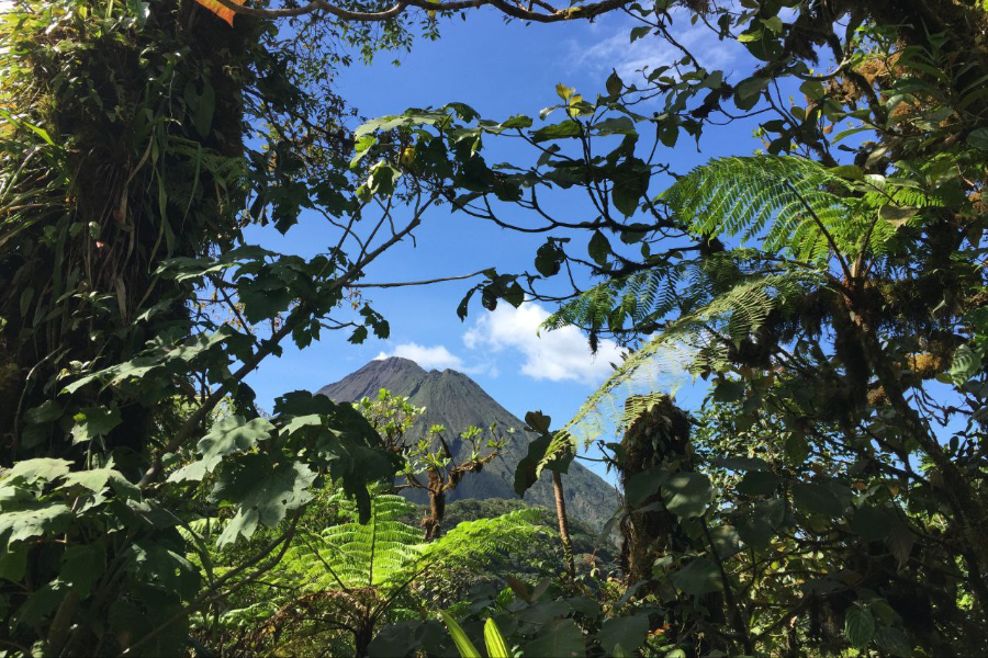 Végétation et volcans au Costa Rica - ©Végétation et volcans au Costa Rica