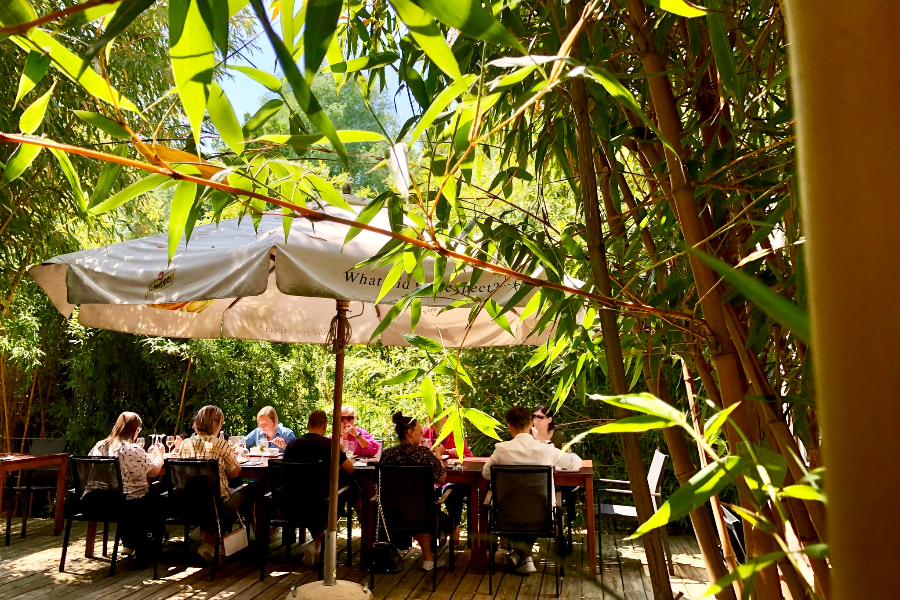 THAÏ 33 ???? la terrasse de notre restaurant est une véritable oasis, une belle petite jungle où déguster vos plats délicieux