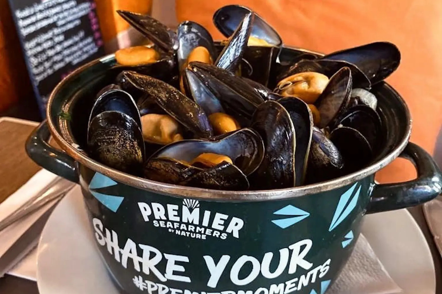 moules casserole