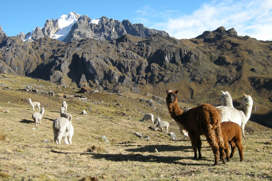 TIERRAS DE LOS ANDES - ©TIERRAS DE LOS ANDES