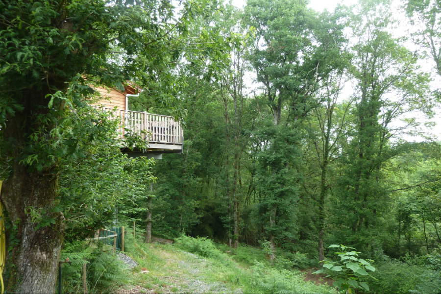 Terrasse dans les arbres, vue d'en bas