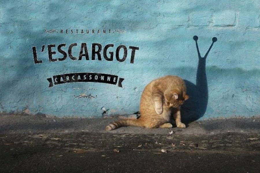 L'escargot - ©L'ESCARGOT