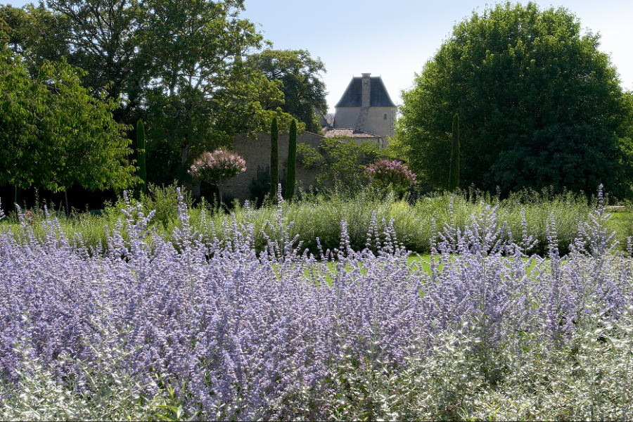 Ondes Bleues Château de Beaulon - ©@chateau-de-beaulon