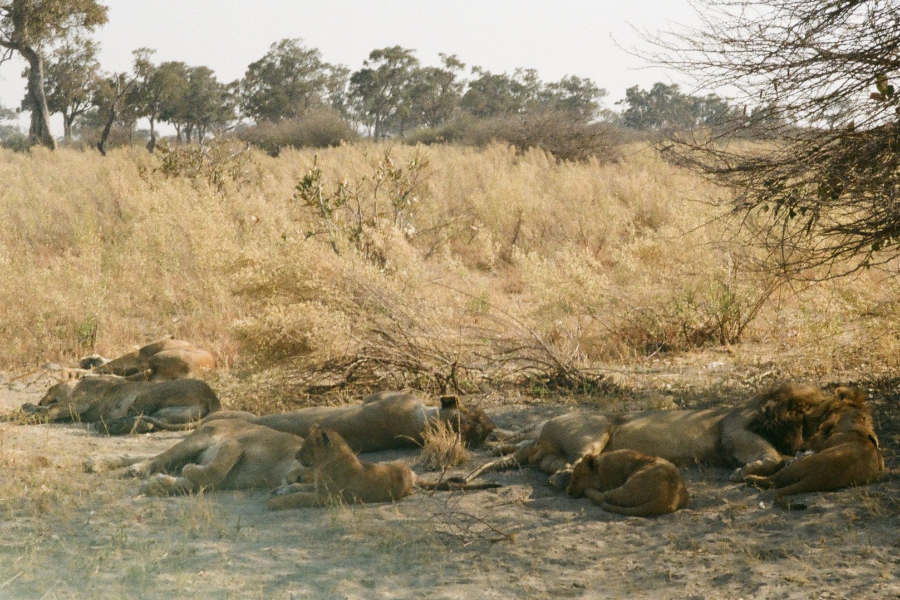  - ©OKAVANGO EXPEDITIONS