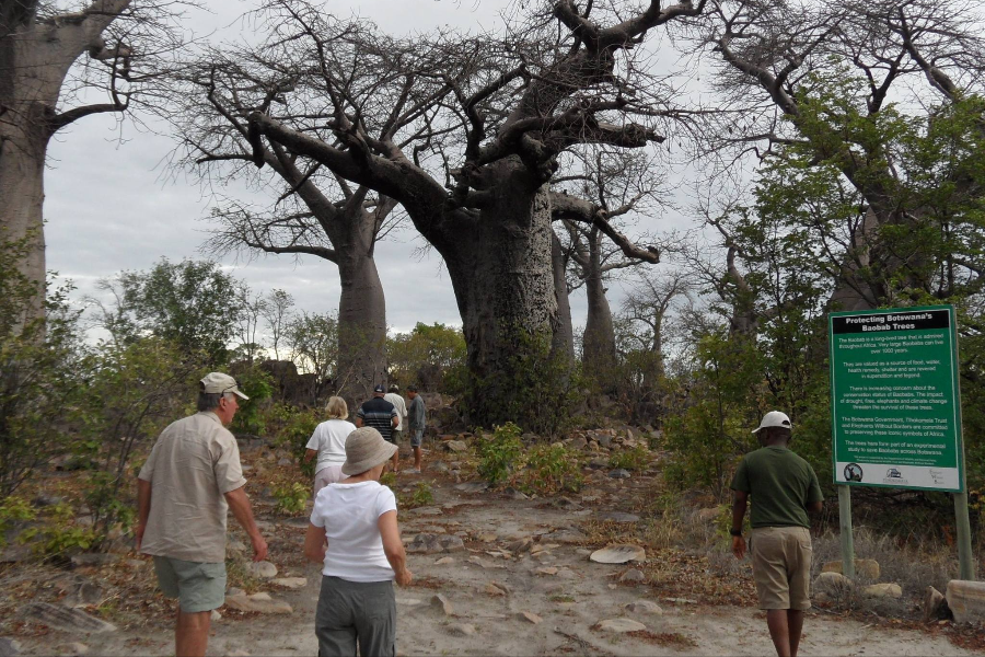  - ©OKAVANGO EXPEDITIONS