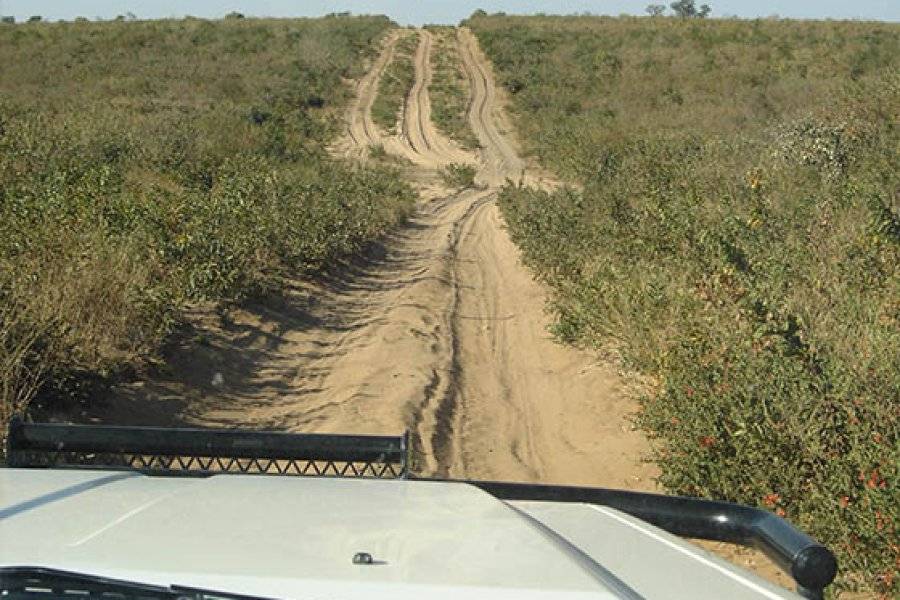 WILD RIDGE BUSH TRAILS SAFARIS Reisebüro - Reiseveranstalter Maun photo n° 221113 - ©WILD RIDGE BUSH TRAILS SAFARIS