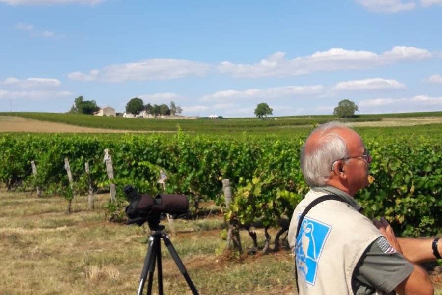 observation LPO - ©DOMAINE LA TOUR BEAUMONT