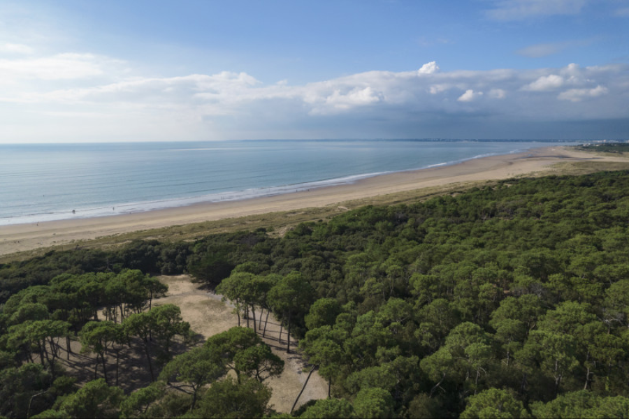 La forêt de la Pierre Attelée - ©Office de tourisme de Saint-Brévin