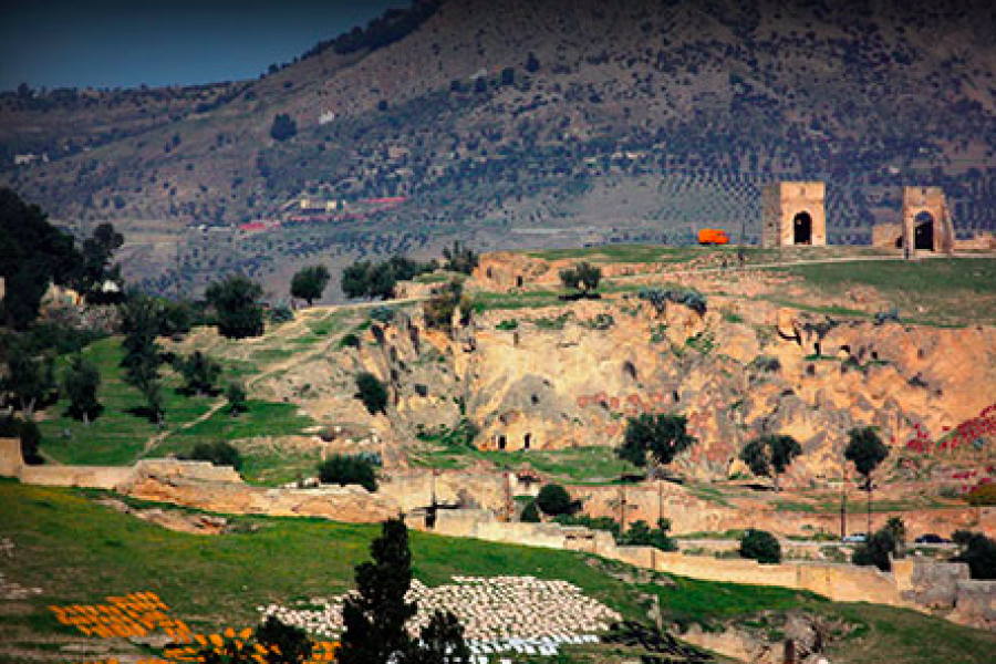 DAR EL BALI Hôtel Fès photo n° 209876 - ©DAR EL BALI