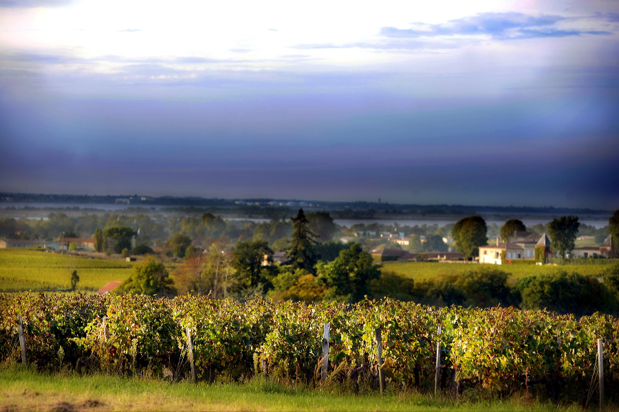  - ©OFFICE DE TOURISME DE BLAYE