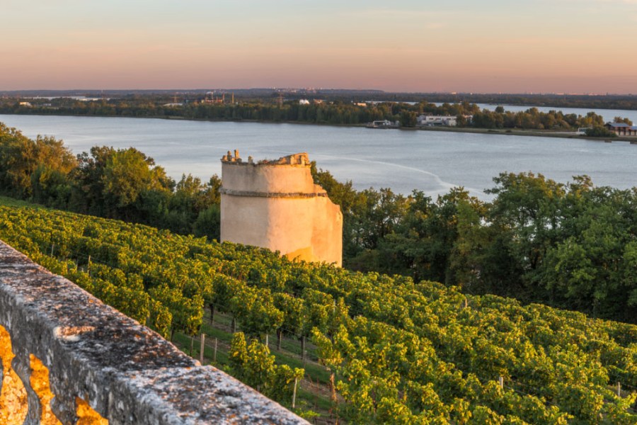  - ©OFFICE DE TOURISME DE BLAYE