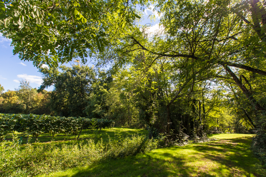 chateau garreau - ©chateau garreau