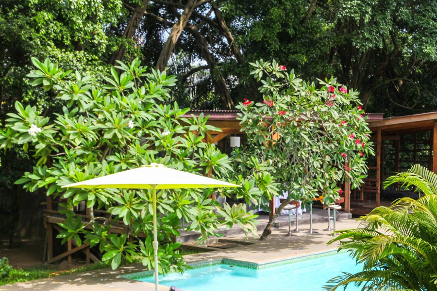 Piscine et jardin - Hôtel Particulier