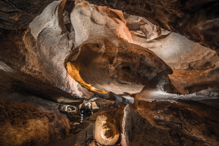 Grand méandre - Grottes de Sare - ©Sylvain Sangla