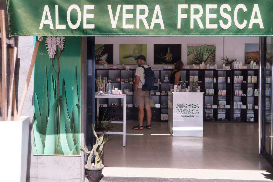  - ©L'ALOE VERA FRESCA DI FUERTEVENTURA