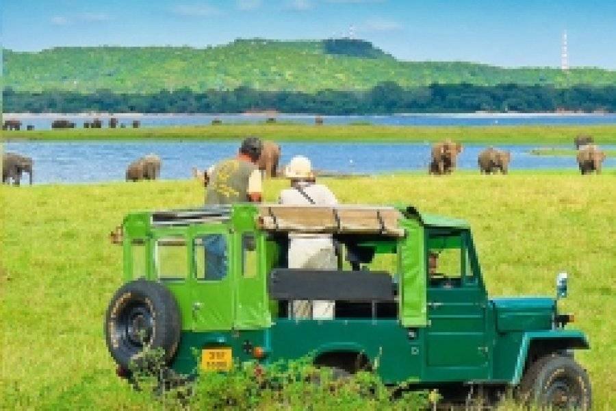 ANDREWS TRAVELS - HERTZ Agence de voyage - Tours opérateurs Colombo photo n° 199503