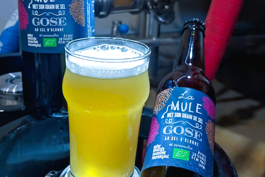 LA VIEILLE MULE